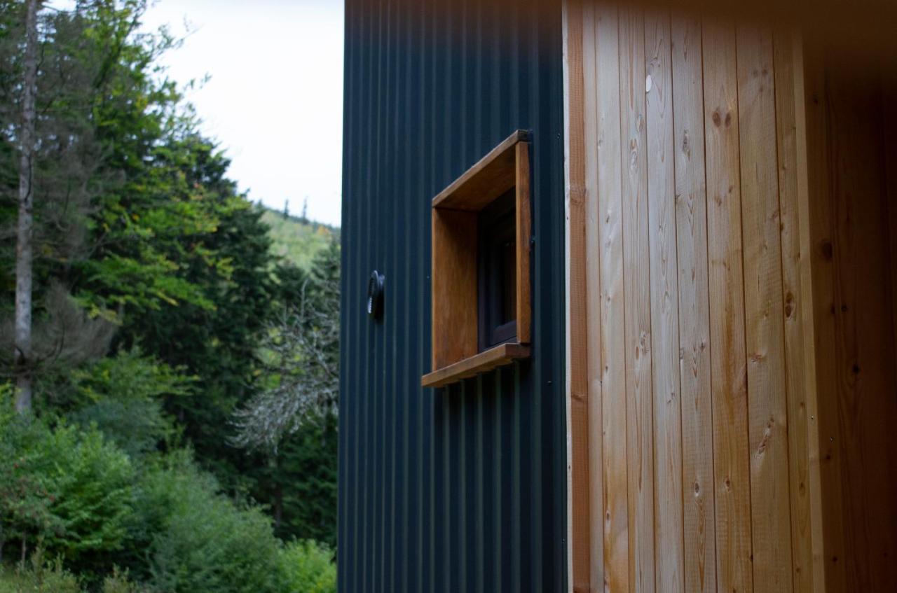 Вілла Panorama / Tinyhouse Podbrezova Екстер'єр фото
