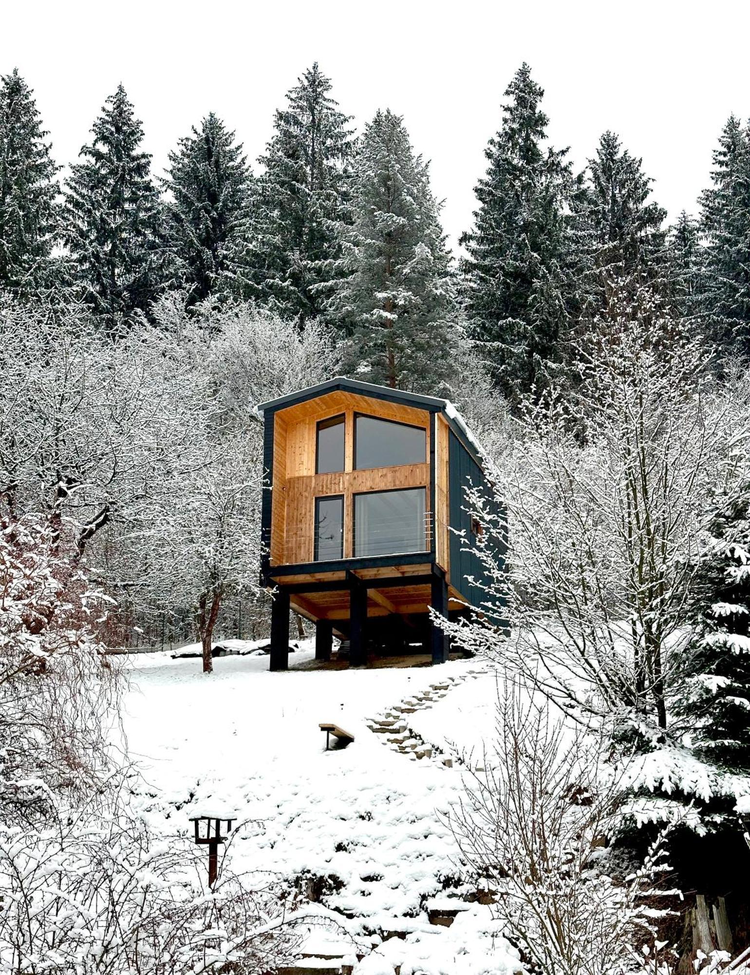 Вілла Panorama / Tinyhouse Podbrezova Екстер'єр фото